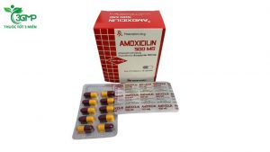 Kháng sinh Amoxicillin 500 mg Mediplantex hộp 10 vỉ x 10 viên