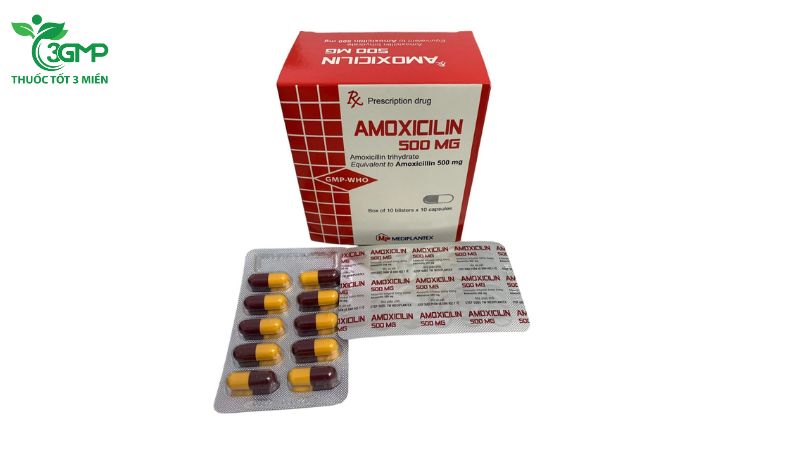 Kháng sinh Amoxicillin 500 mg Mediplantex hộp 10 vỉ x 10 viên